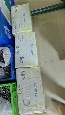 Prekių pristatymas į Italiją